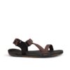 Xero Shoes Z-Trail EV M Multi Brown