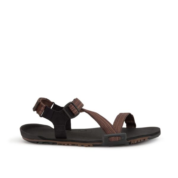 Xero Shoes Z-Trail EV M Multi Brown